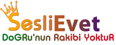 SesliEvet.Com, SesliChat, SesliSohbet, SesliSiteler